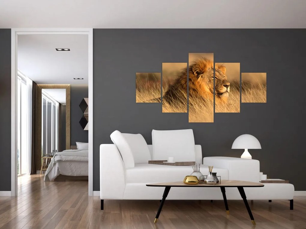 Obraz - Park Narodowy Etosha (125x70 cm)