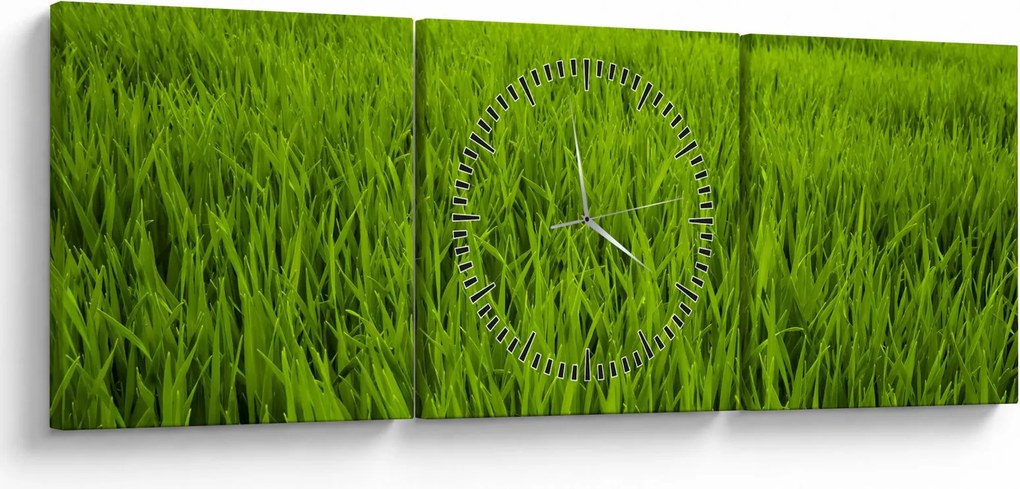 Obraz trawy (z zegarem) (90x30 cm)