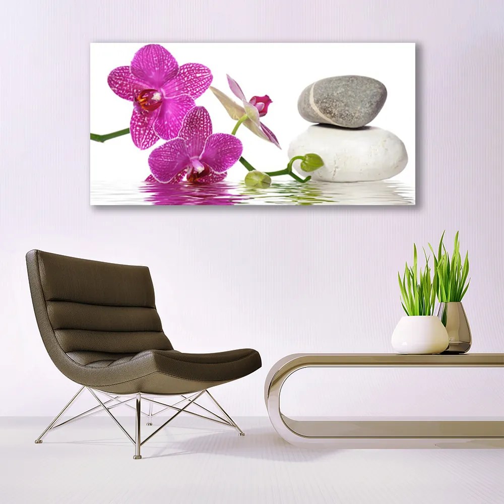 Zdjęcie na płótnie Biały Kwiat w Stylu Modern