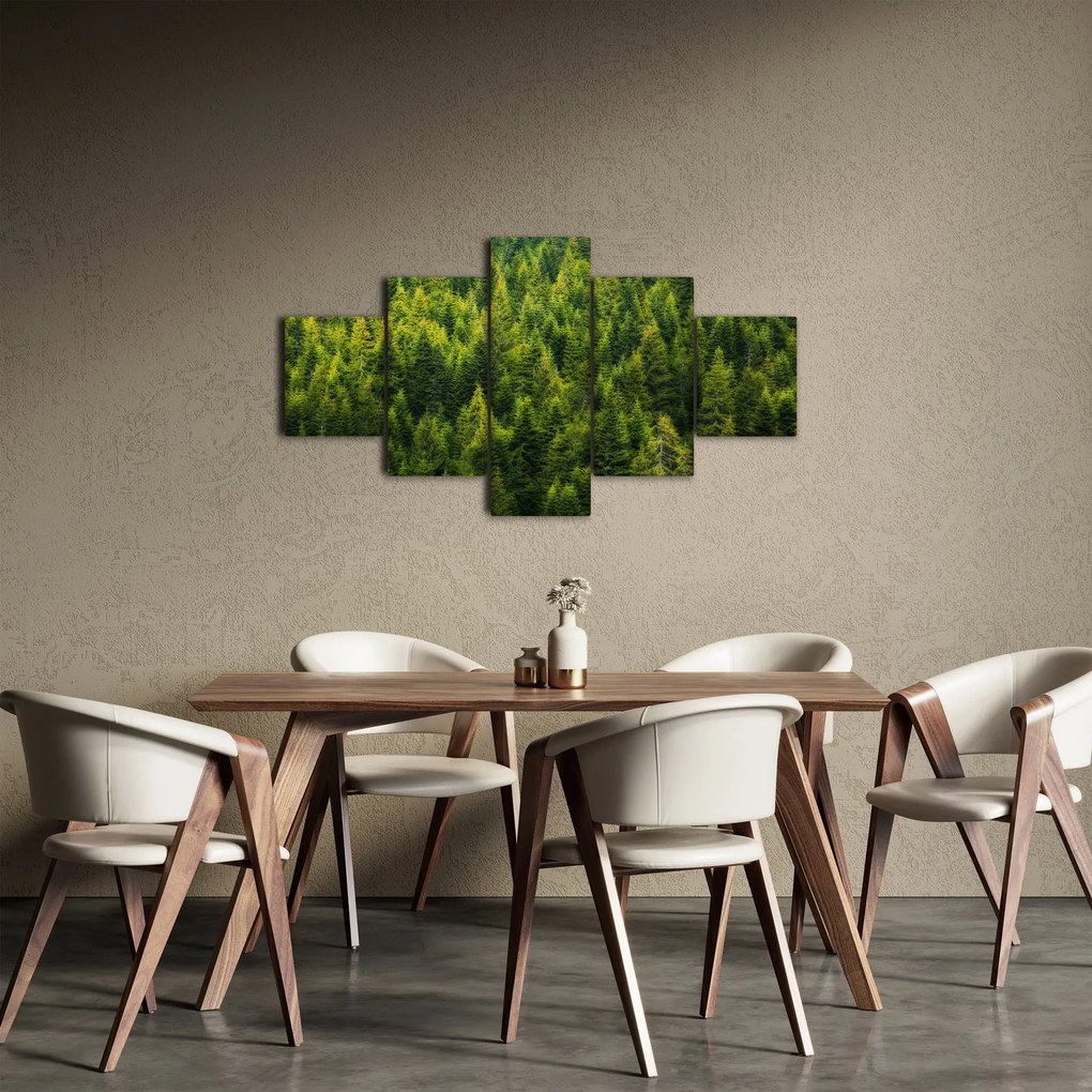 Obraz - Gęsty las (125x70 cm)