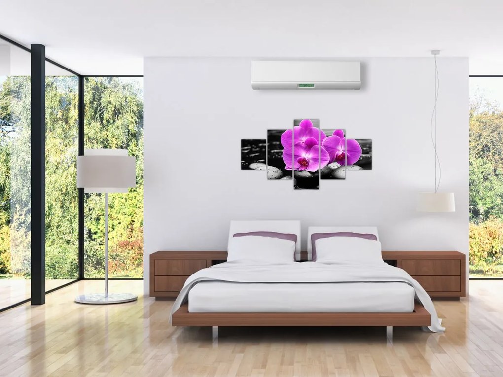 Obraz - Fioletowe orchidee (125x70 cm)