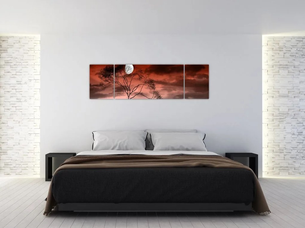 Obraz - Księżyc oświetlający noc (170x50 cm)