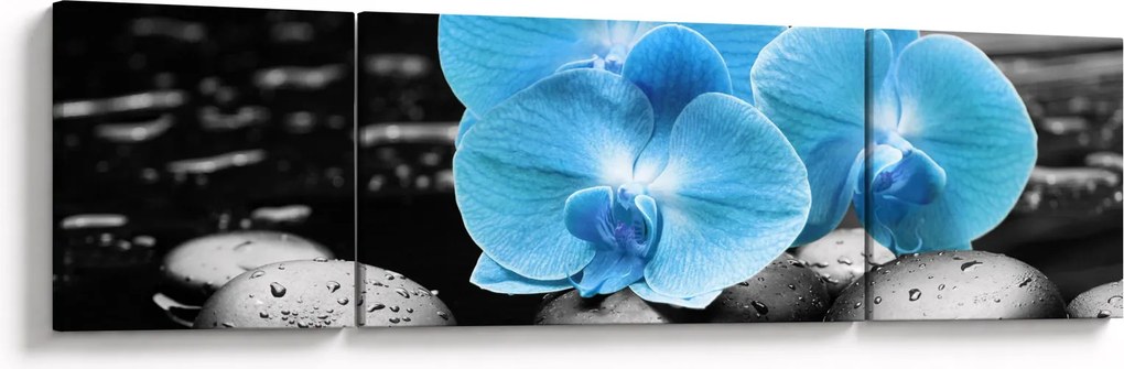 Obraz - Niebieska Orchidea (170x50 cm)