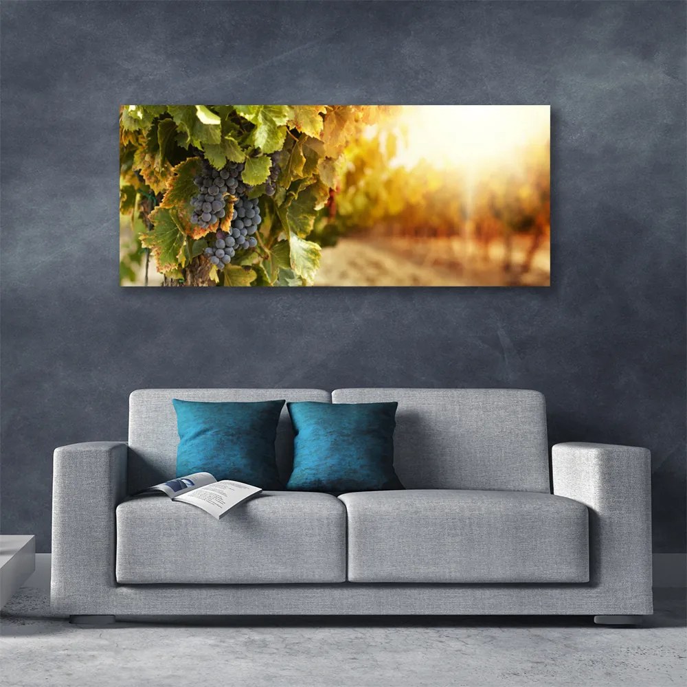Obraz drukowany na płótnie Winna Winorośl w Detalu