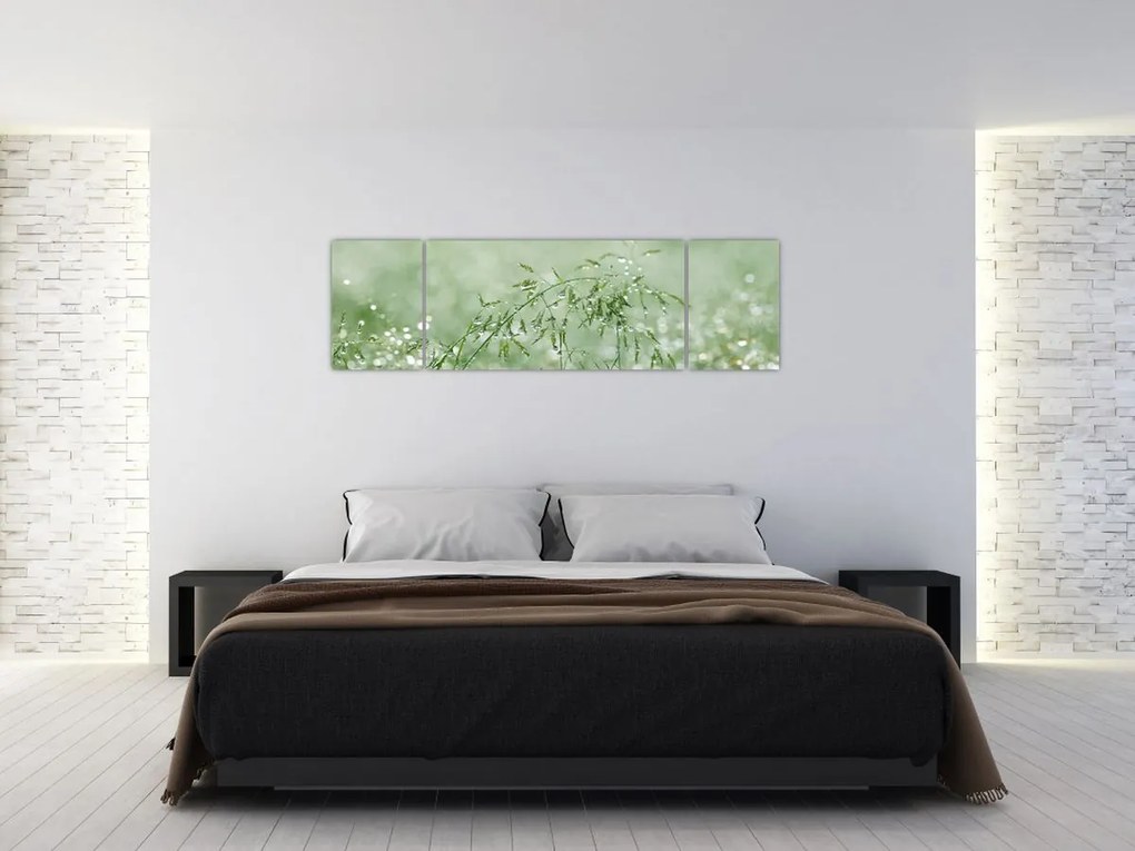 Obraz - Poranna rosa na źdźbłach trawy (170x50 cm)