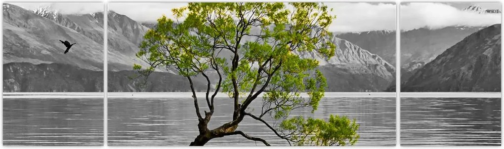 Obraz drzewa na środku jeziora (170x50 cm)