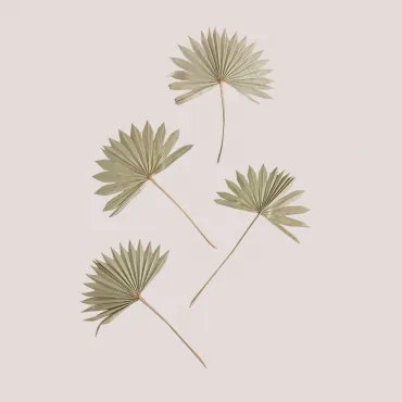 Pakiet 4 Suchych Gałązek Dekoracyjnych Urpek Bamboo Green - Sklum