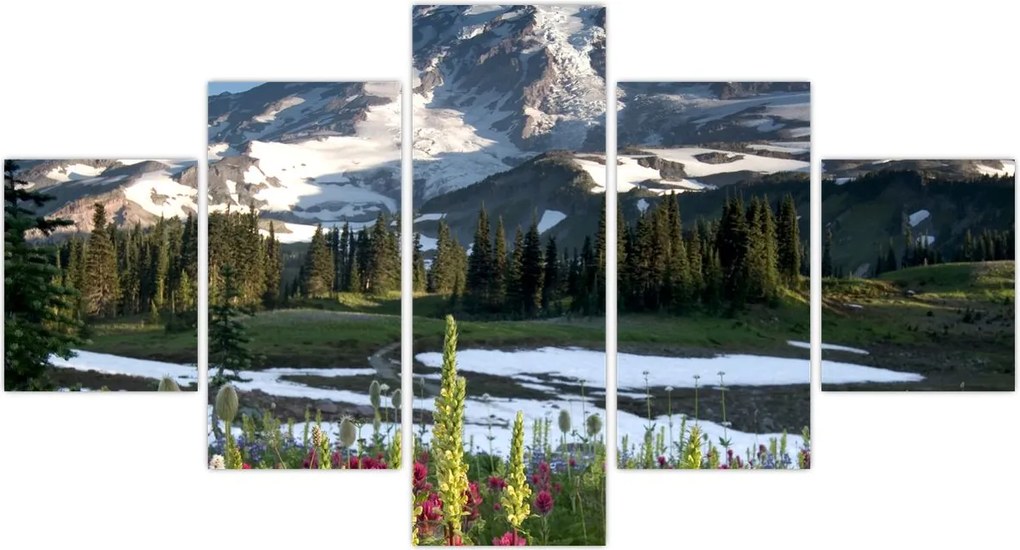 Obraz - Mount Rainier (125x70 cm)