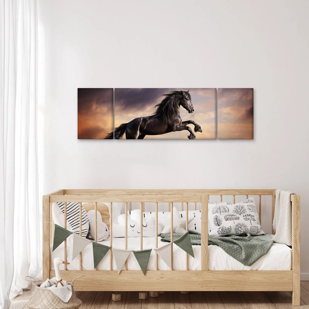 Obraz - Konie (170x50 cm)