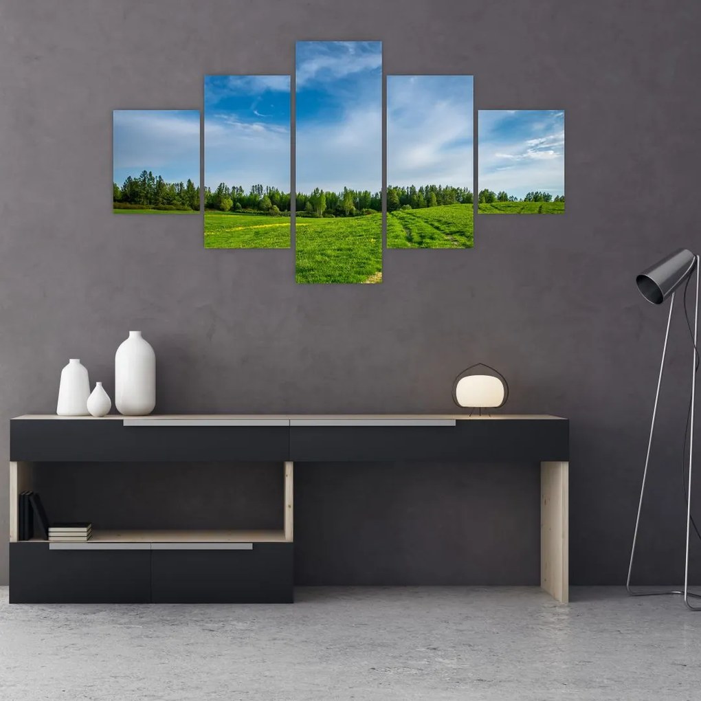 Obraz łąki (125x70 cm)