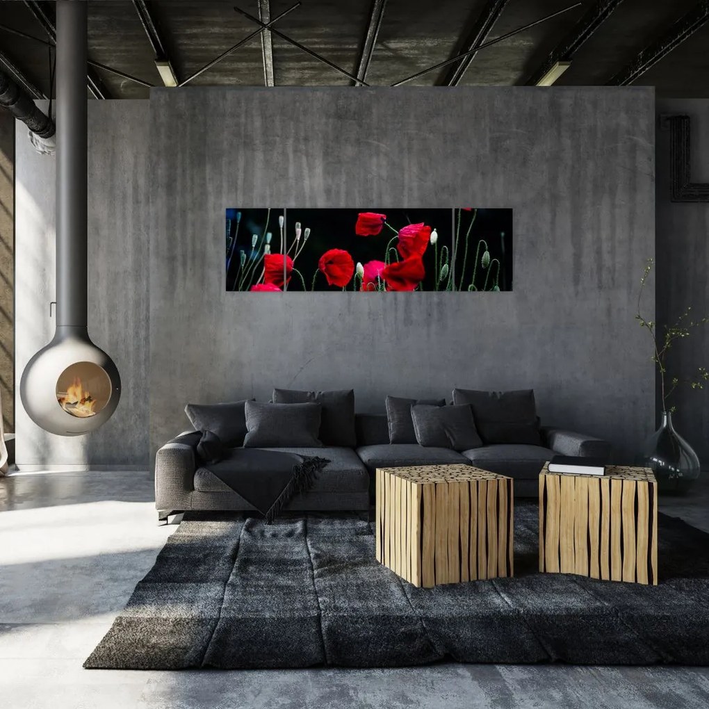 Obraz - Taniec maków (170x50 cm)