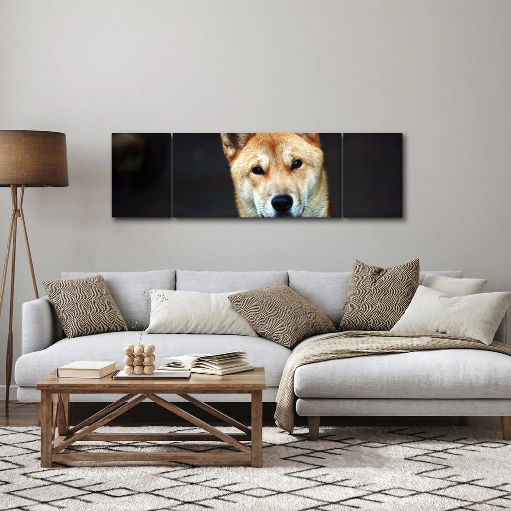 Obraz psa (170x50 cm)