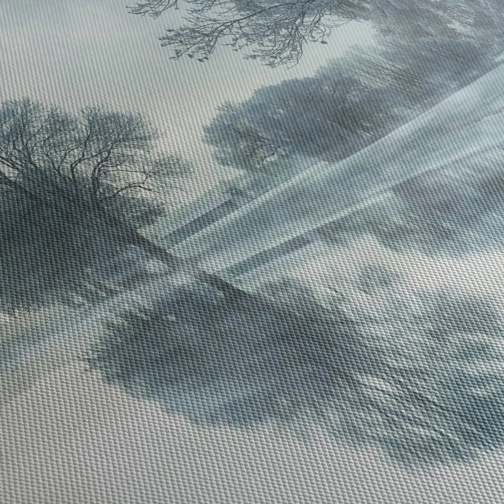 Obraz zimowej natury (170x50 cm)