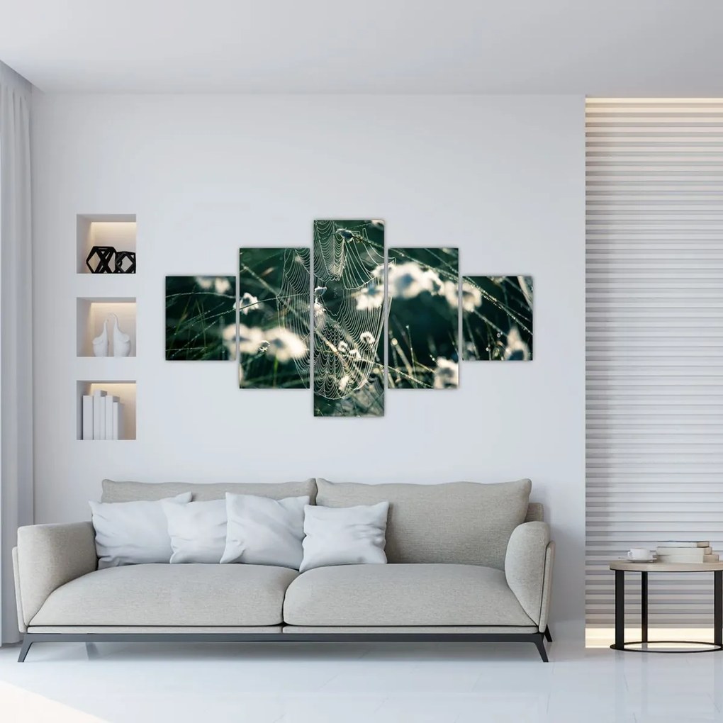 Obraz - Pajęczyna (125x70 cm)