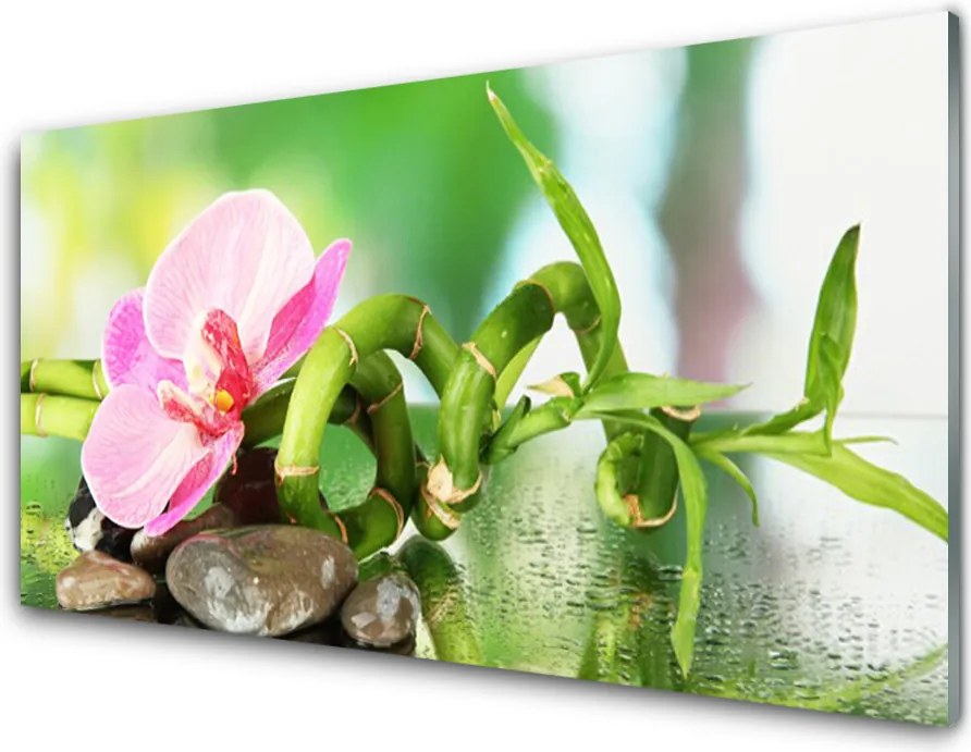 Dekor Szklany do Kuchni Świeże Pędy Zielonego Bambusa