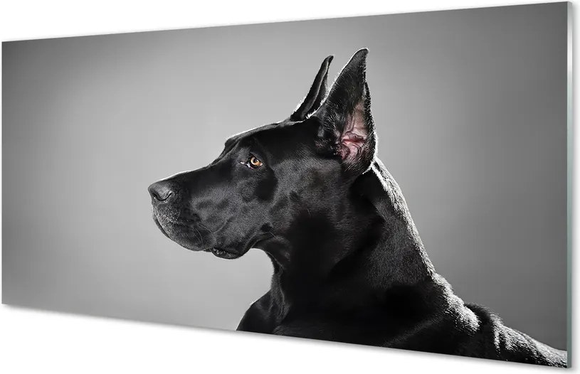 Panel szklany do Kuchni Elegancki Czarny Pies