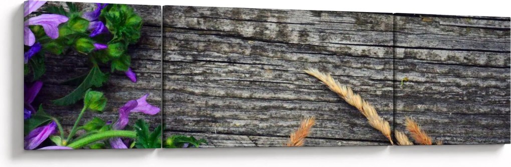 Obraz - kwiaty polne (170x50 cm)