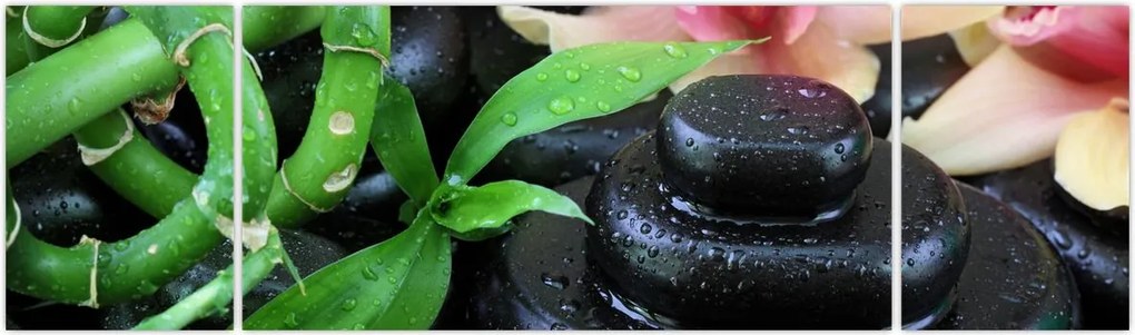 Obraz - Kamienie i orchidee (170x50 cm)