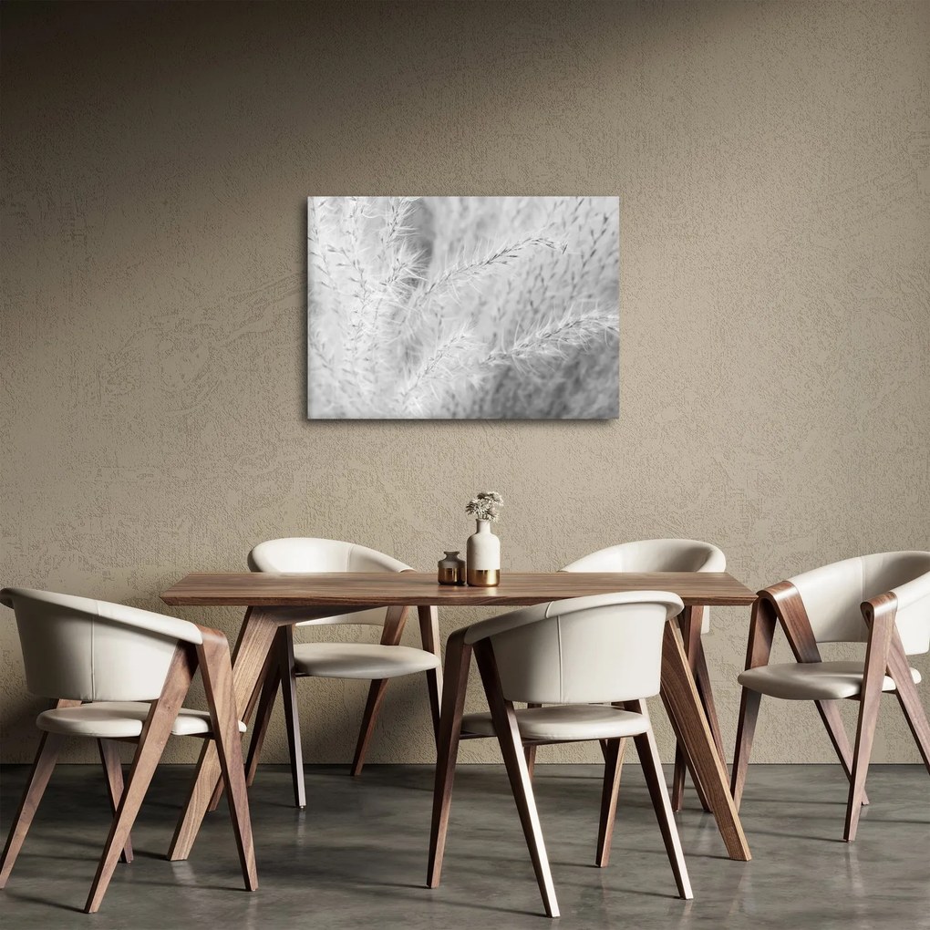 Obraz - Trawa pampasowa N⁰1 (70x50 cm)