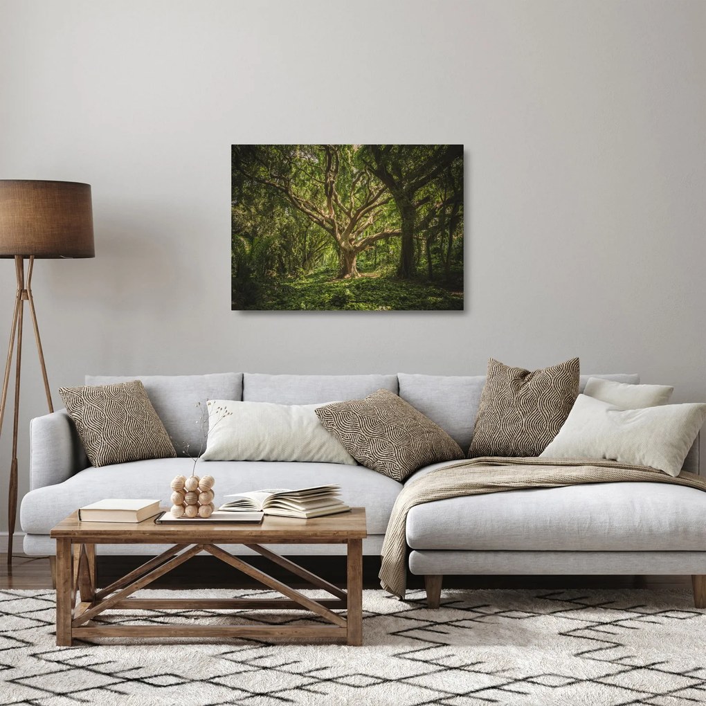 Obraz na szkle drzewa (70x50 cm)