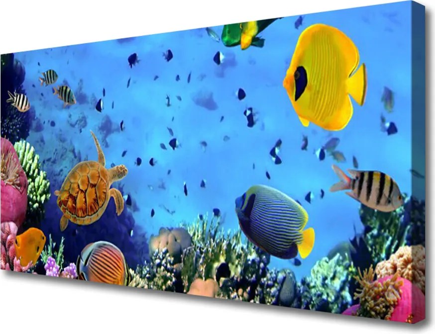 Obraz na płótnie Podwodny Świat Rafy Koralowej