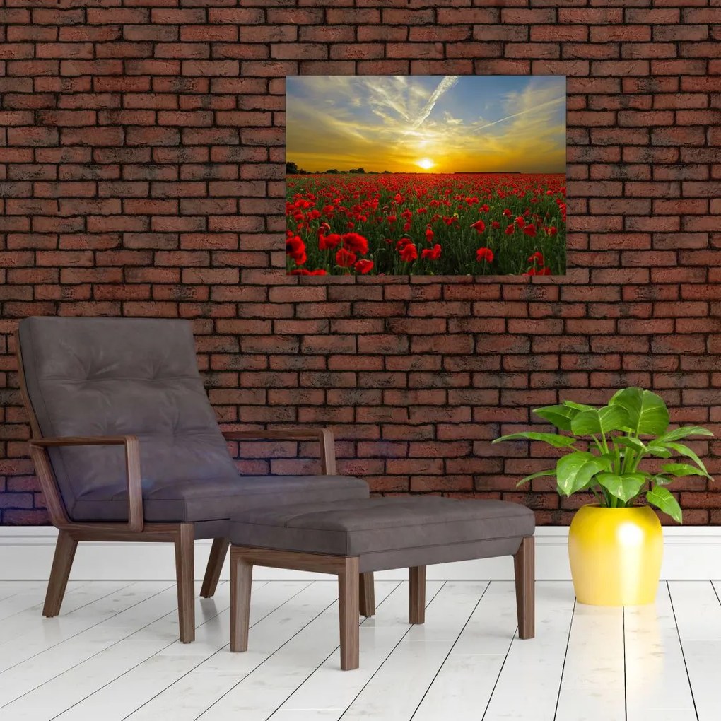Obraz na szkle - pole maków (70x50 cm)