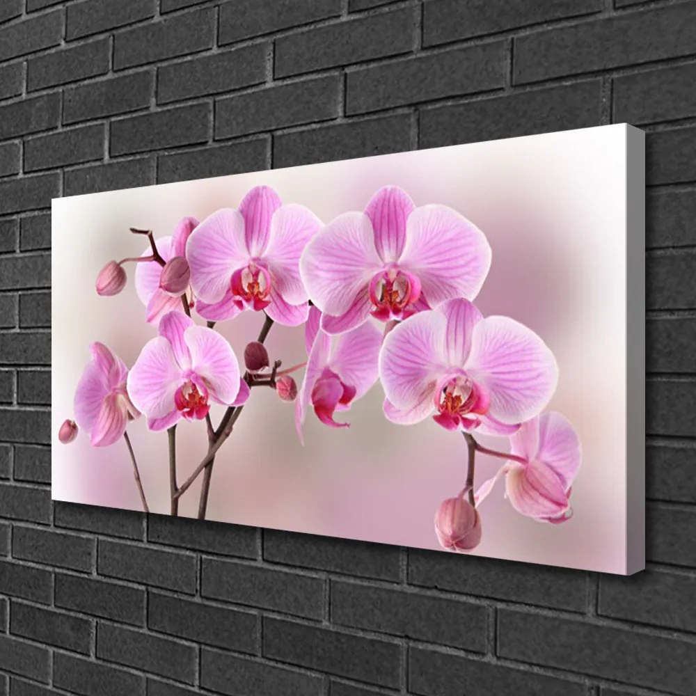 Zdjęcie na płótnie Pastelowy Bukiet Botaniczny