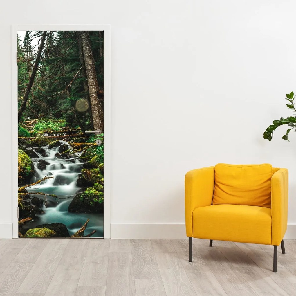 Fototapeta na drzwi - Strumień w lesie (95x205cm)