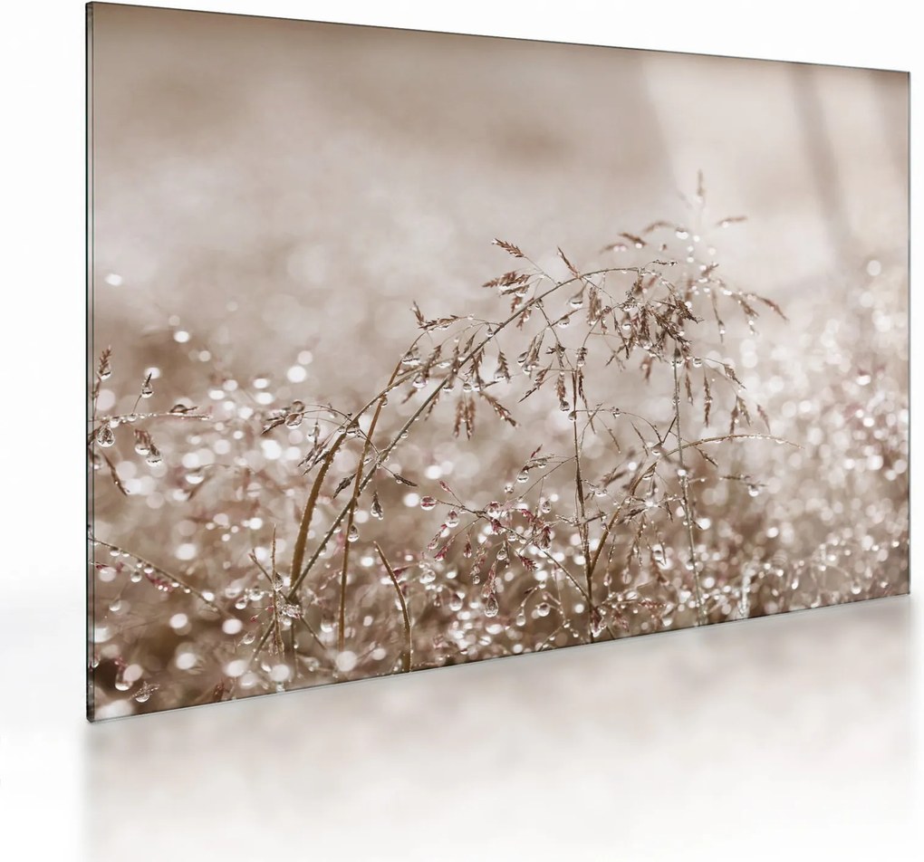 Obraz na szkle - Łąka w odcieniach brązu (70x50 cm)