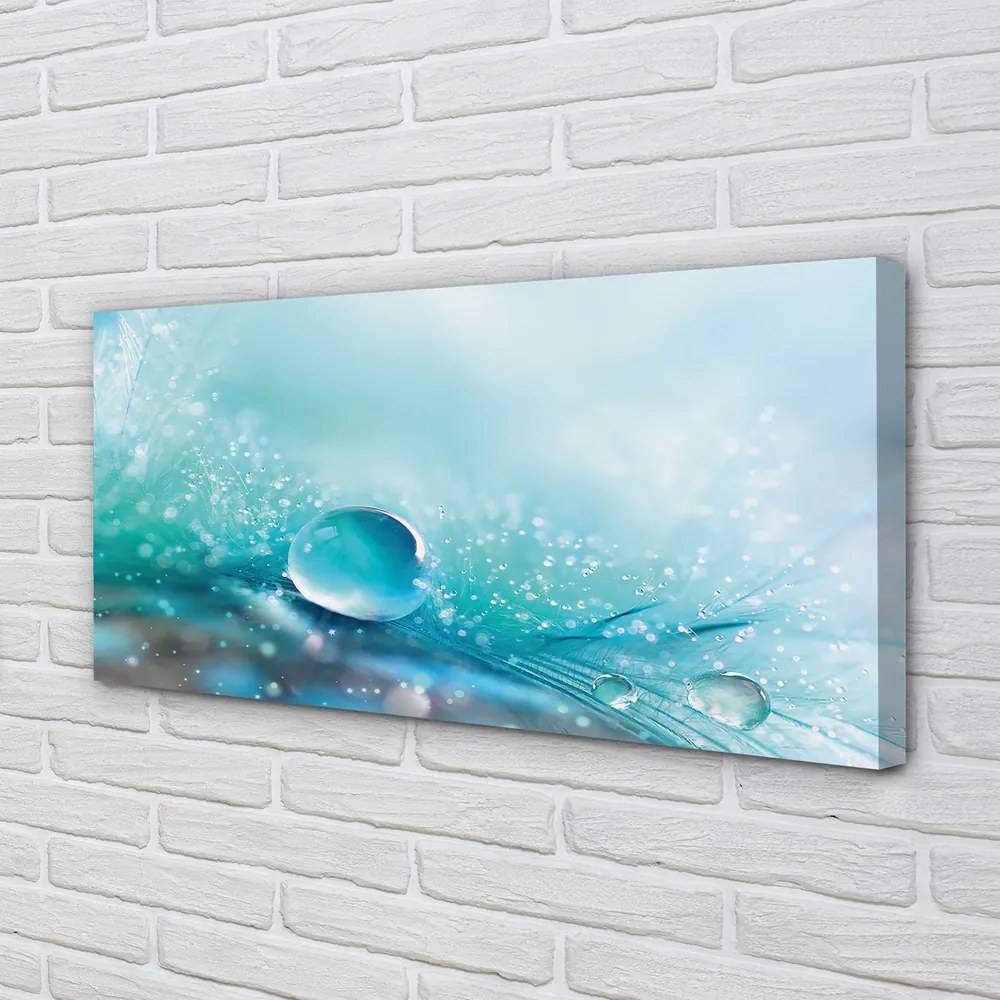 Obraz drukowany na płótnie Abstrakcyjna Kropla Makro