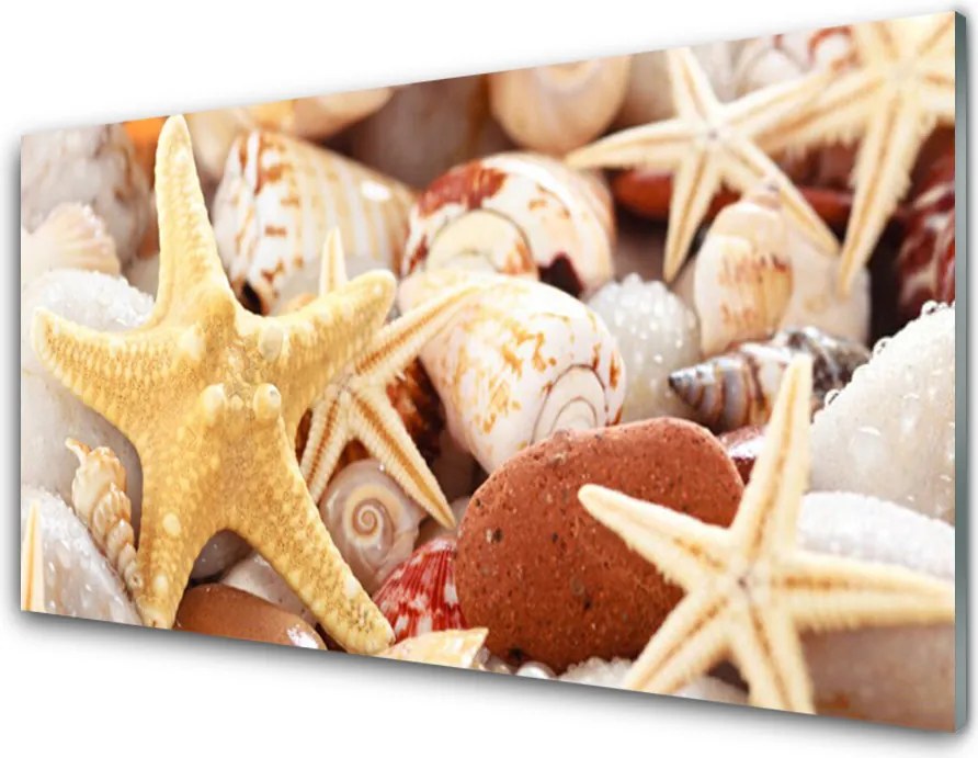 Panel Szklany Kompozycja Muszli na Brzegu