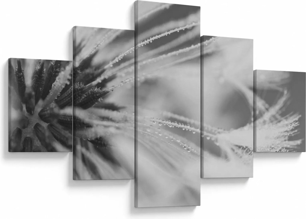 Obraz - Mlecz (125x70 cm)