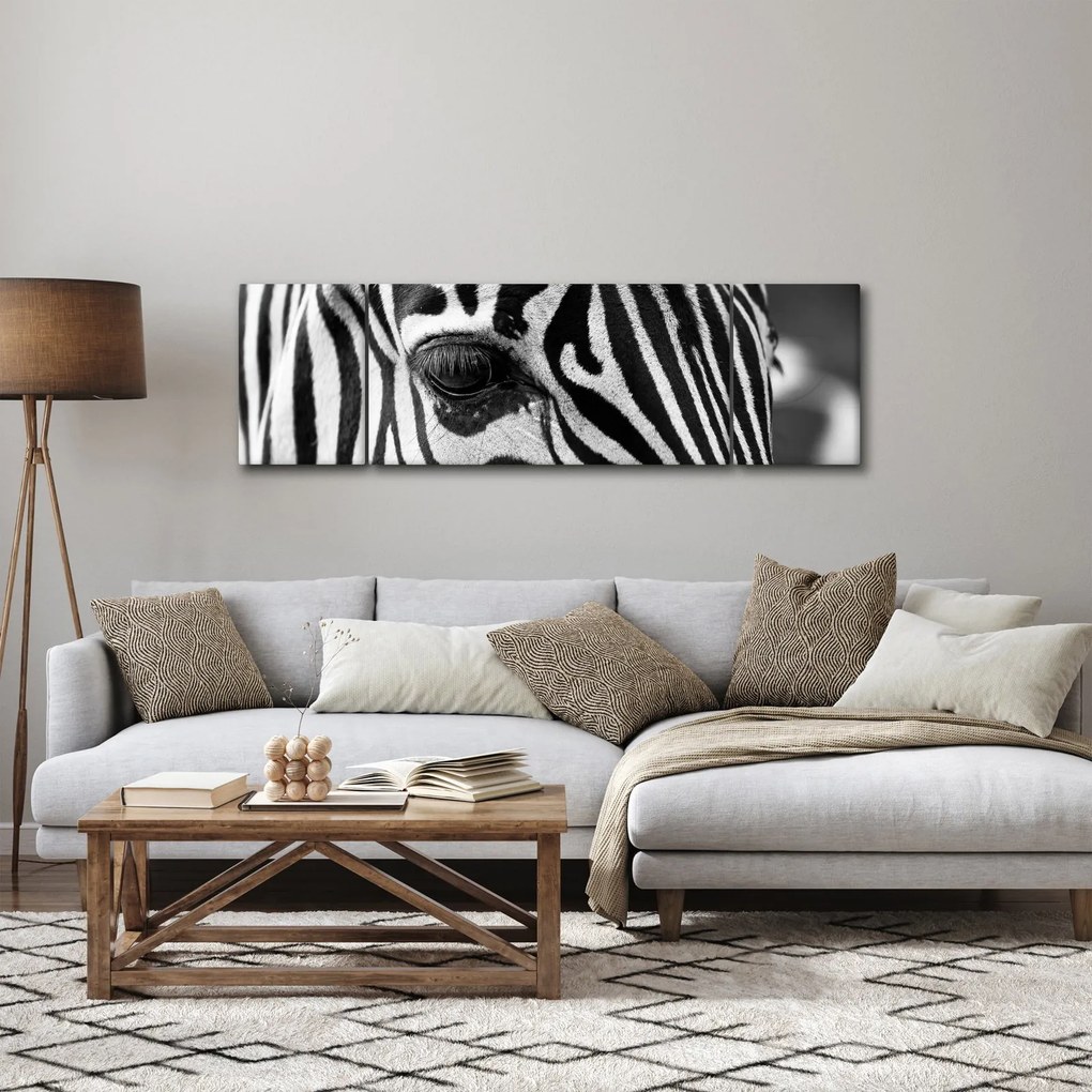 Obraz zebry (170x50 cm)
