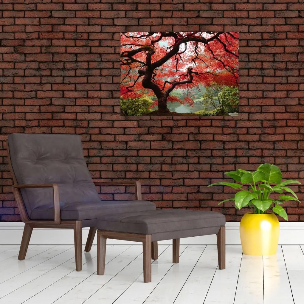 Obraz czerwonego klonu japońskiego, Portland, Oregon (70x50 cm)