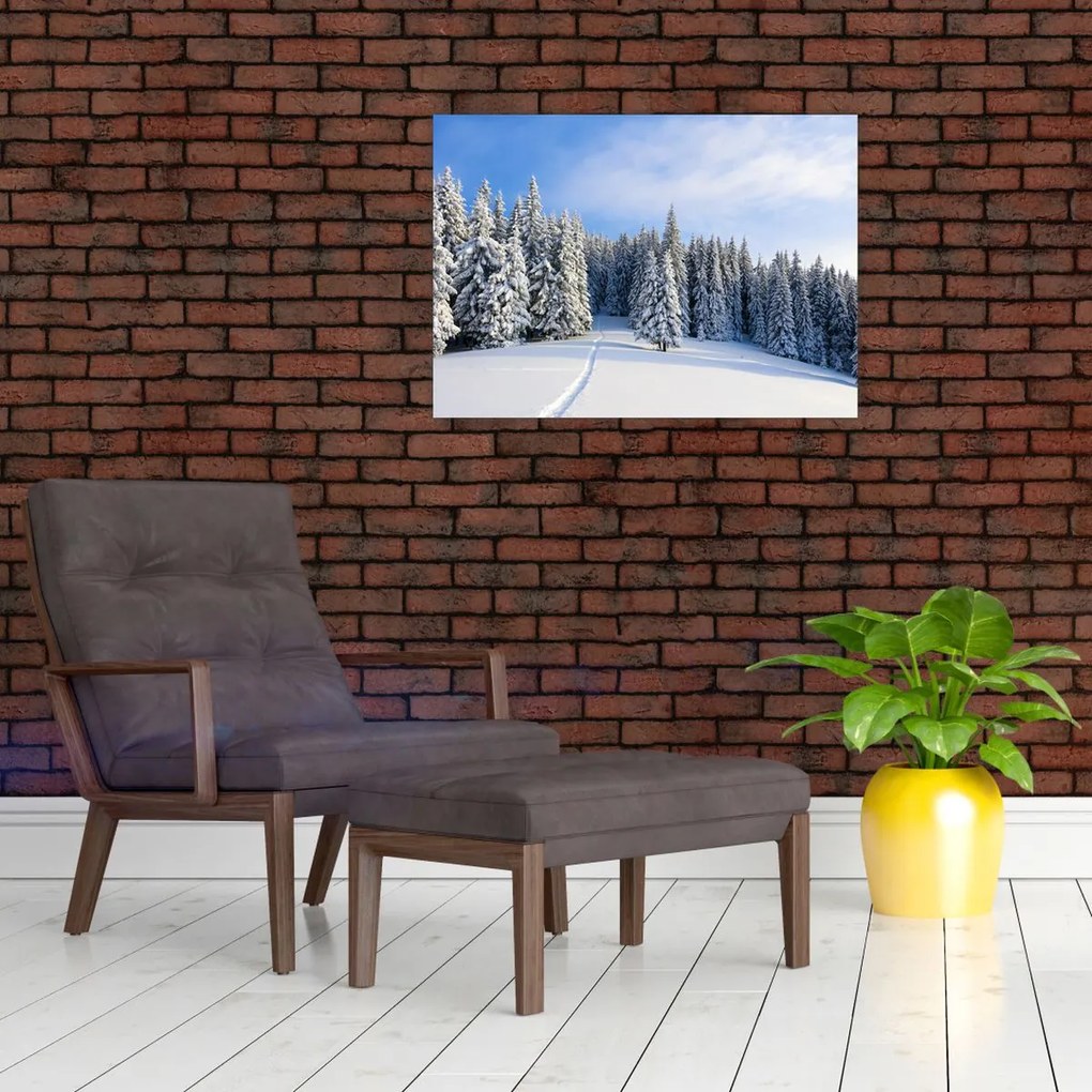 Obraz - Zima w lasach (70x50 cm)