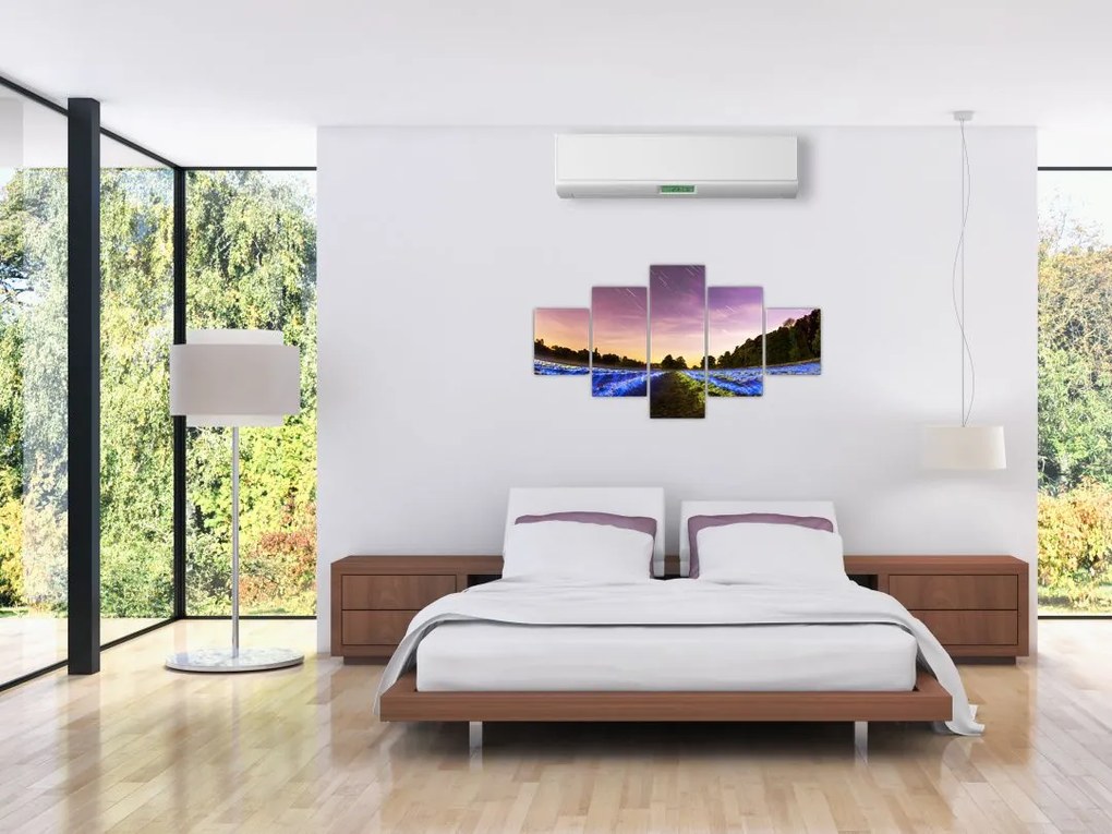 Obraz kolorowego pola (125x70 cm)