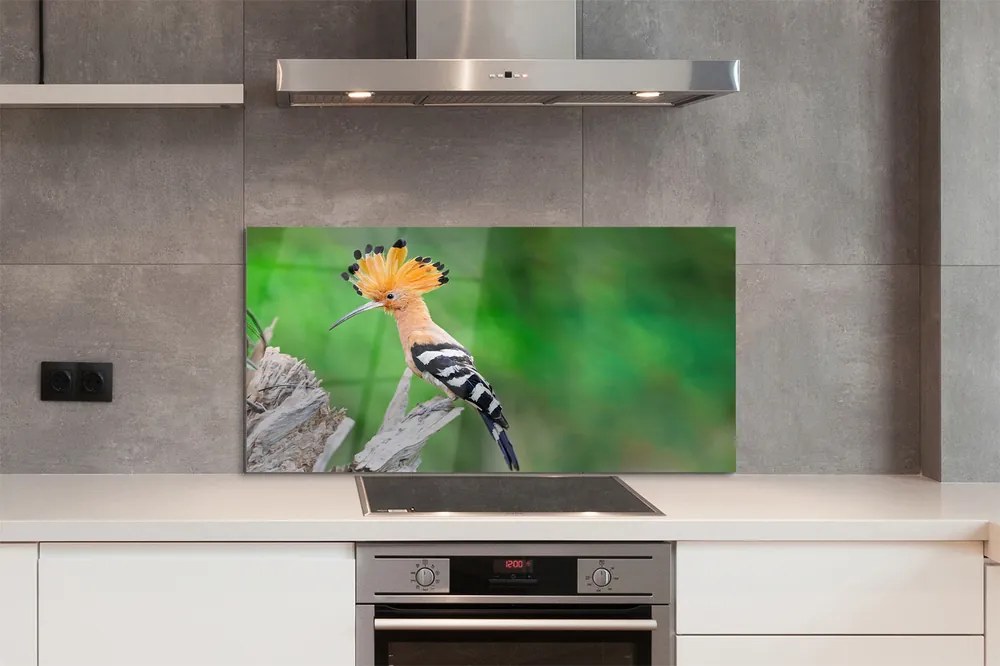 Panel szklany do Kuchni Papuga w Sercu Dżungli