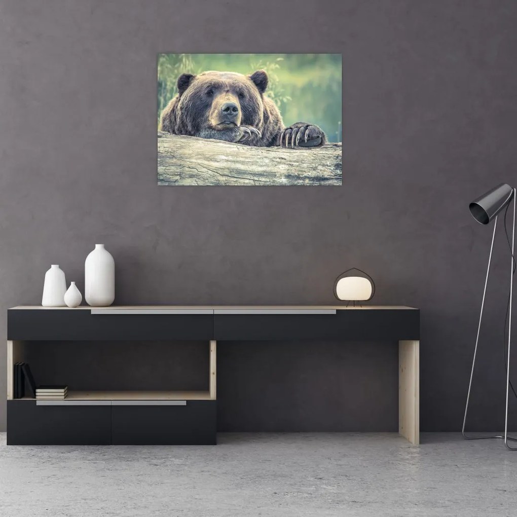 Obraz na szkle - niedźwiedź (70x50 cm)