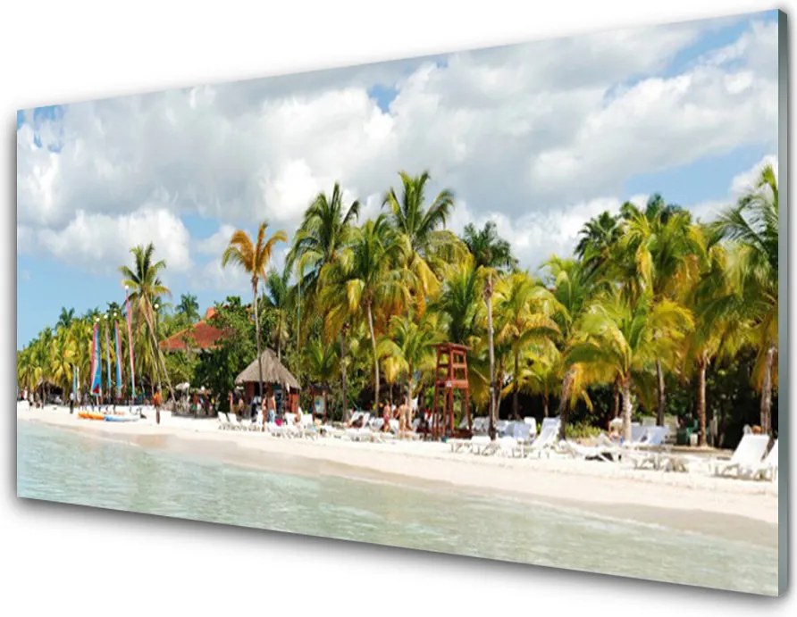 Panel Kuchenny Palmy Nad Rajską Plażą
