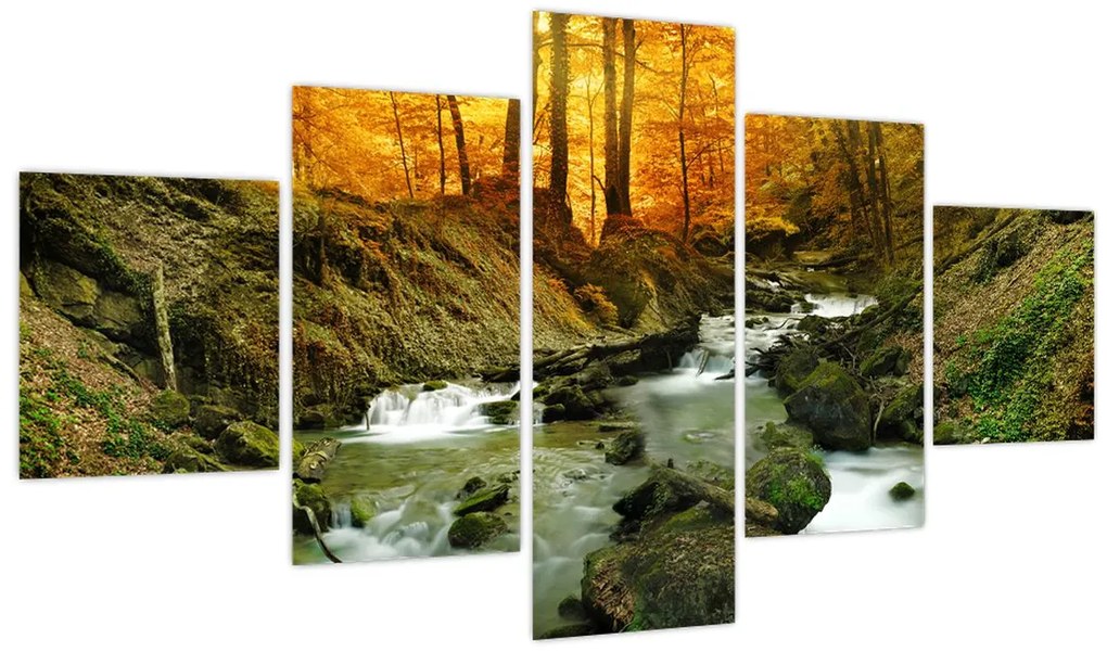 Obraz - Las (125x70 cm)