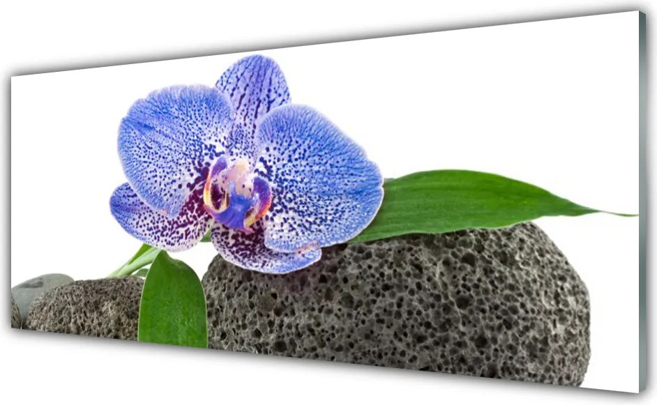 Panel Kuchenny Kwiatowa Elegancja