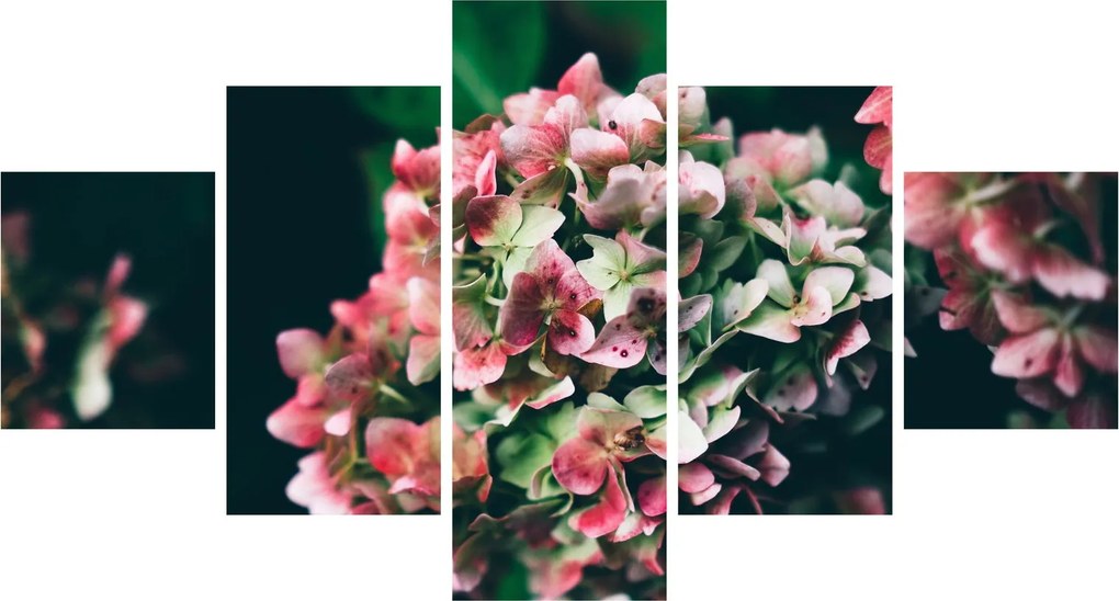 Obraz - Fragment Hortensji (125x70 cm)