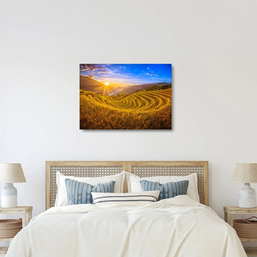 Obraz na szkle - Pole ryżowe w Wietnamie (70x50 cm)
