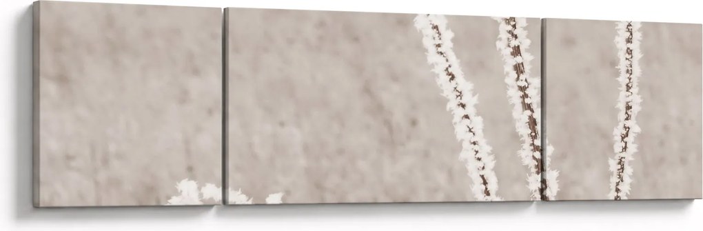 Obraz - Oset w zimie (170x50 cm)