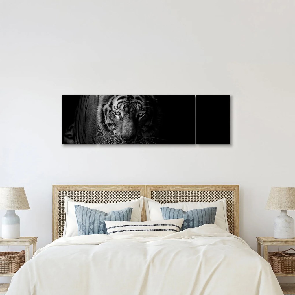 Obraz dzikiego tygrysa (170x50 cm)