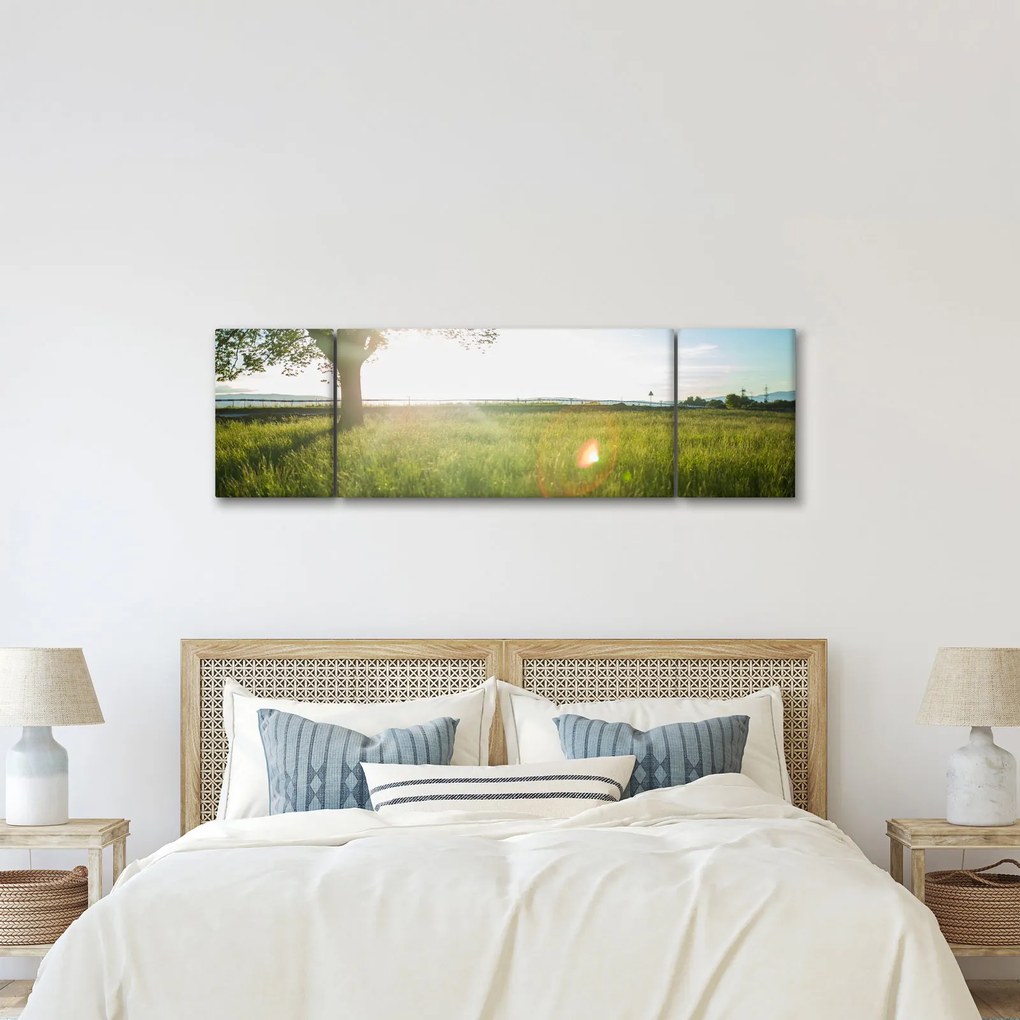 Obraz letniej łąki (170x50 cm)
