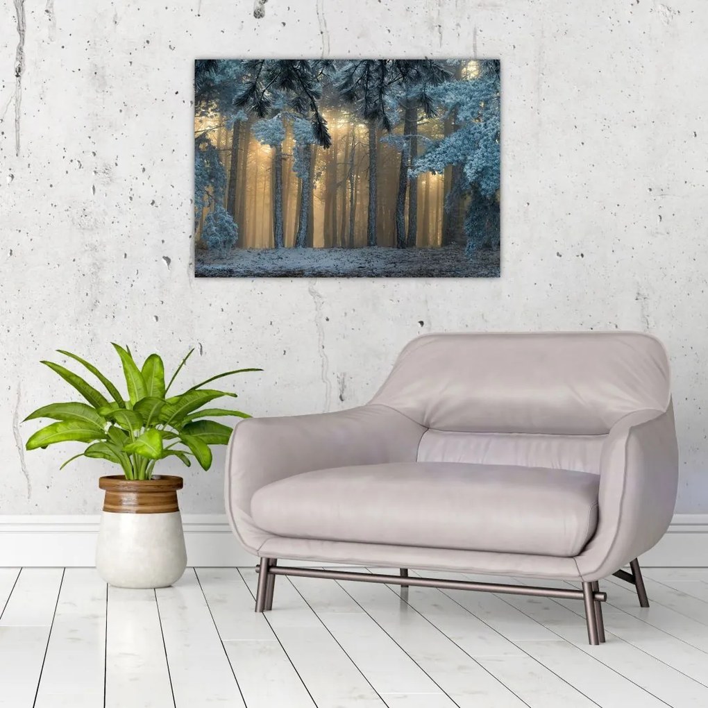 Obraz zaśnieżonego lasu (70x50 cm)