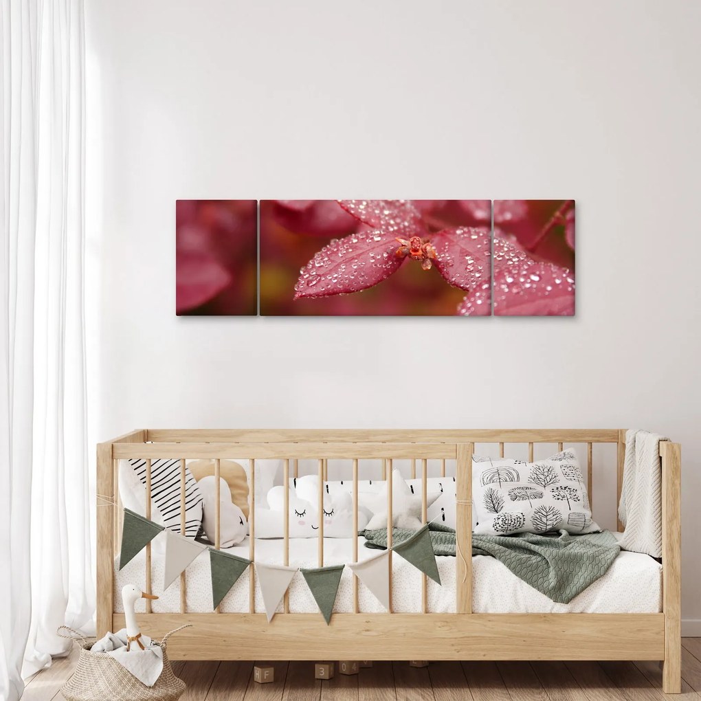 Obraz - Obraz biletu w trybie makro (170x50 cm)