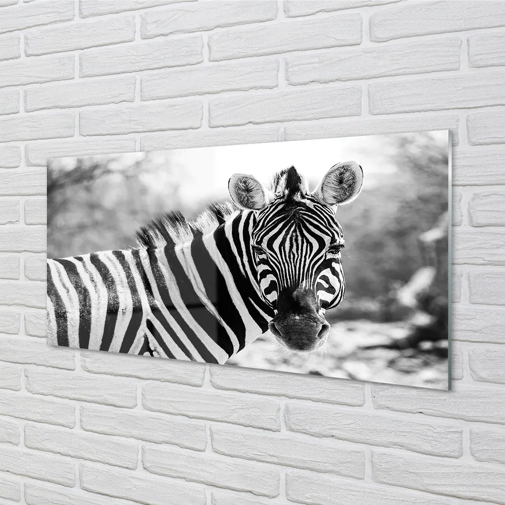 Panel szklany do Kuchni Zebra w Stylu Retro
