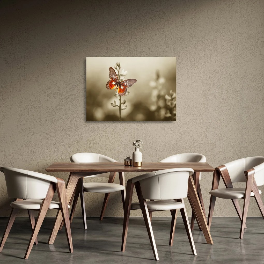 Obraz na szkle motyla (70x50 cm)